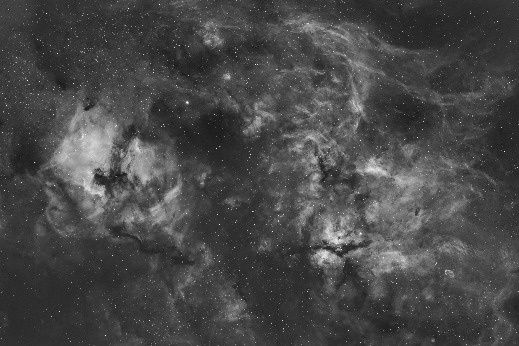 11 Cygnus in Ha